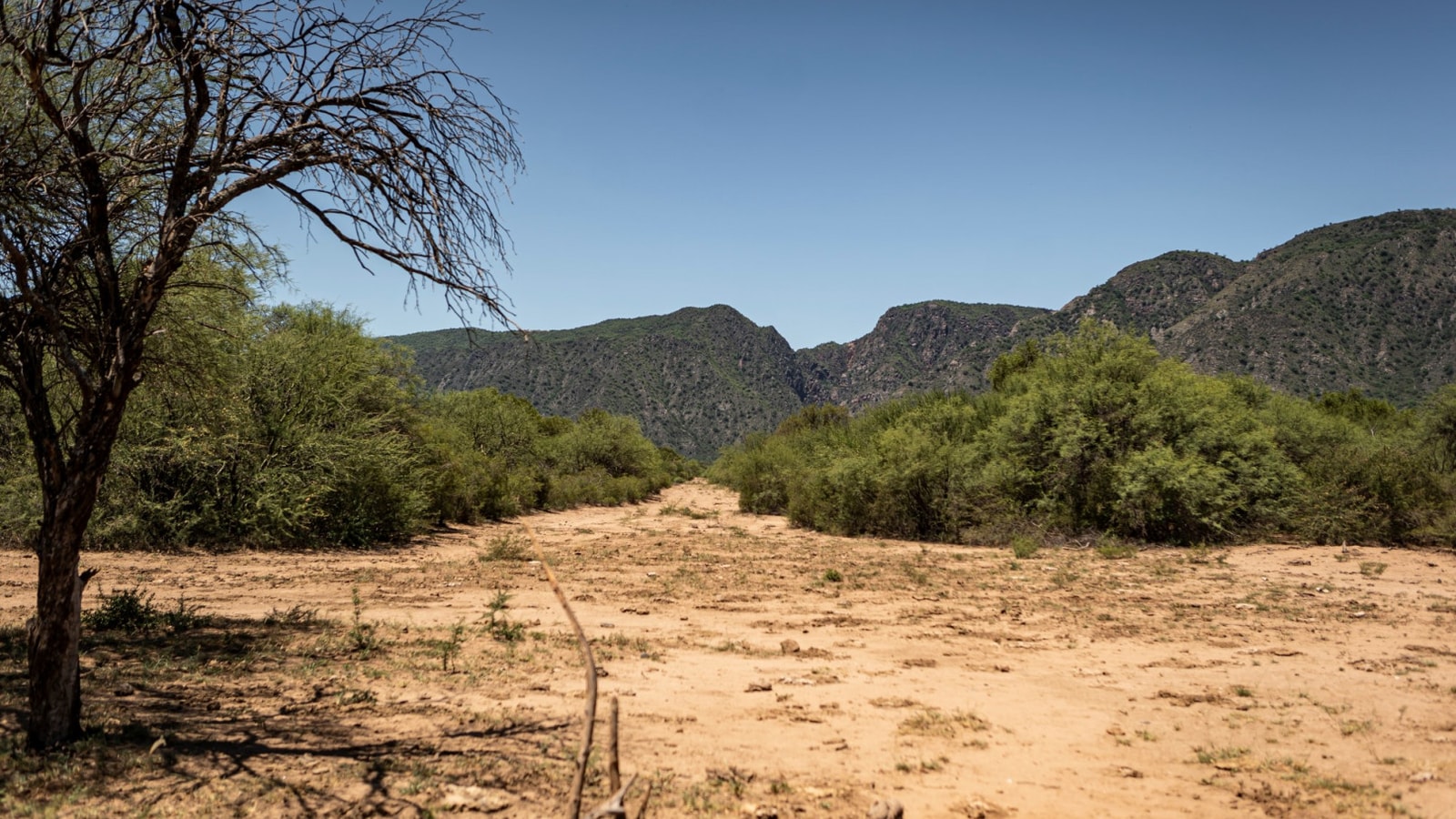 Sierra de Guasapampa, Parque Nacional Traslasierra