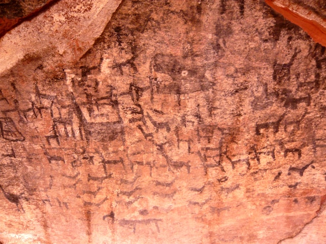 Tropilla de camélidos en Inca Cueva